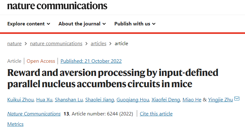 Nature Communications | 中科院深圳先进院朱英杰团队揭示大脑处理奖赏和厌恶的伏隔核平行环路新机制