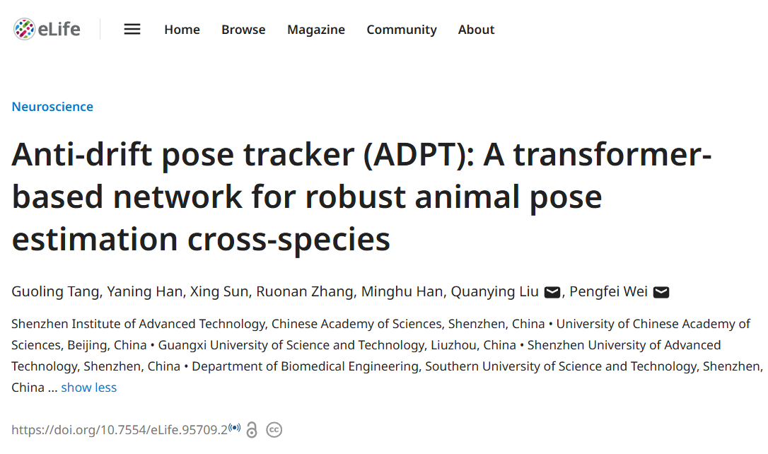 eLife｜深圳先进院脑所/深港脑院蔚鹏飞团队提出新型高精度动物行为学姿态估计工具