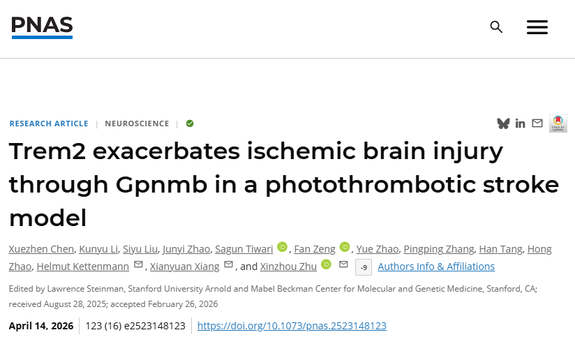 PNAS丨深圳先进院脑所/深港脑院联合深理工团队揭示Trem2调控缺血性脑卒中后神经炎症的新机制