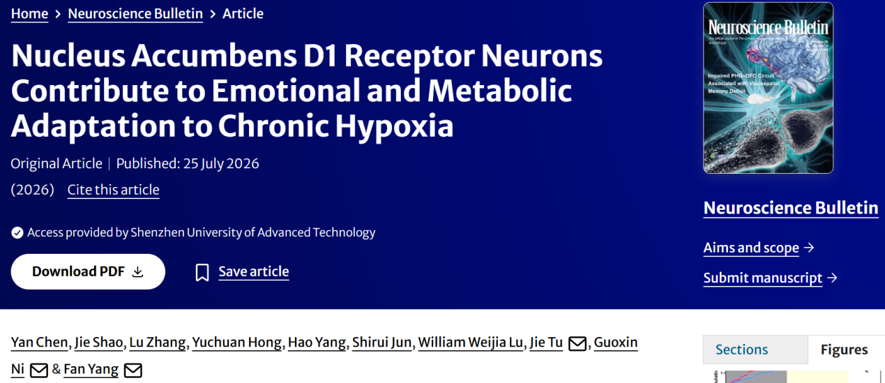 Neuroscience Bulletin丨深圳先进院提出伏隔核神经元调节低氧诱发的行为与代谢异常